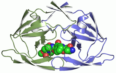 Image Asym./Biol. Unit - manually