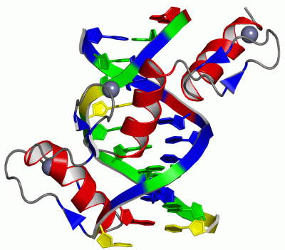 Image Asym./Biol. Unit - manually