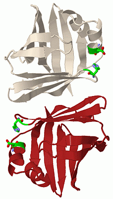 Image Biol.Unit 1 - manually