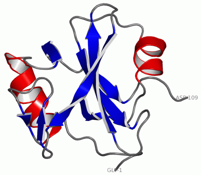 Image NMR Structure - manually