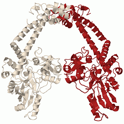 Image Biol.Unit 1 - manually