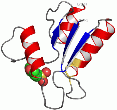 Image Asym./Biol. Unit - manually