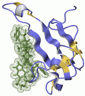 Image NMR Structure - manually