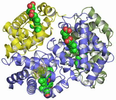 Image Asym./Biol. Unit - manually