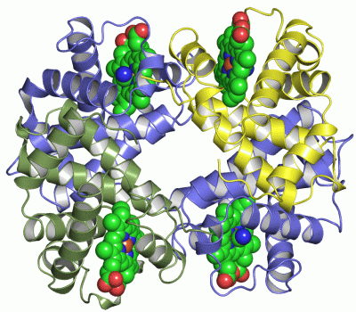 Image Asym./Biol. Unit - manually