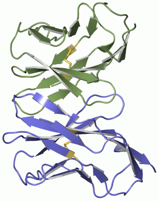 Image Asym./Biol. Unit - manually