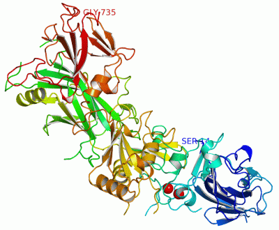 Image Asym./Biol. Unit - manually