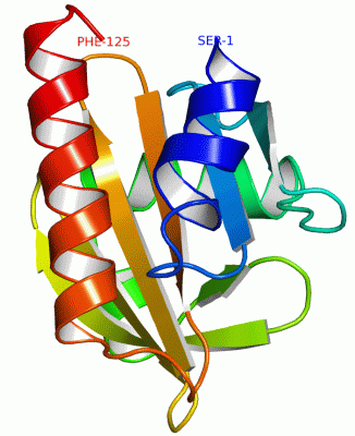 Image Asym./Biol. Unit - manually