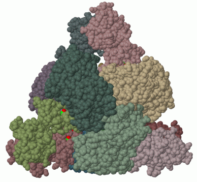 Image Biol.Unit 1 - manually