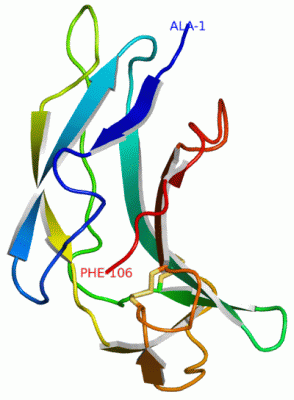 Image Asym./Biol. Unit - manually