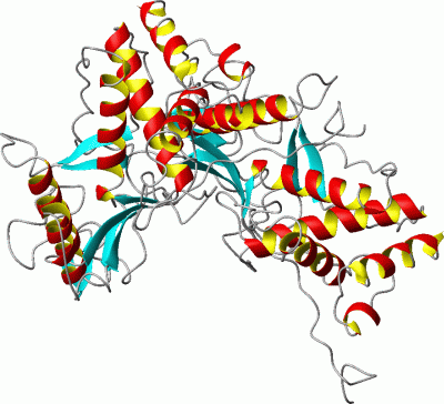 Image Asym./Biol. Unit - manually