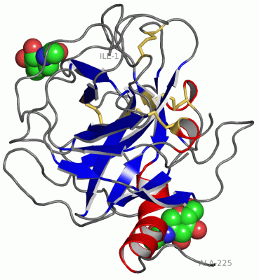 Image Asym./Biol. Unit - manually