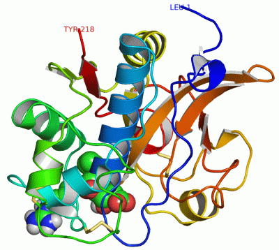 Image Asym./Biol. Unit - manually