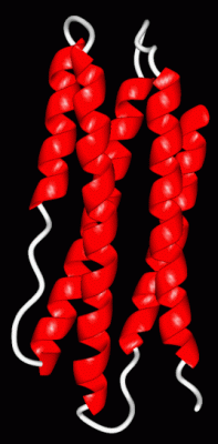 Image Asym./Biol. Unit - manually