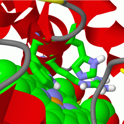 Image Asym./Biol. Unit - manually