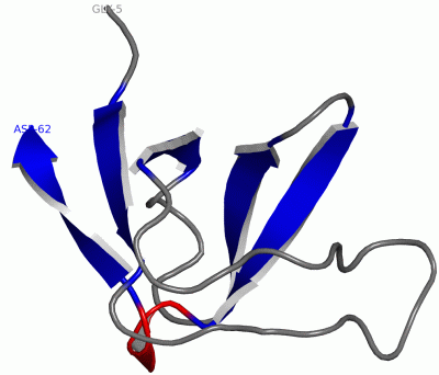 Image NMR Structure - manually