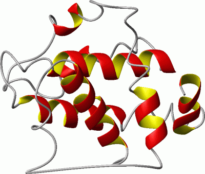 Image Asym./Biol. Unit - manually