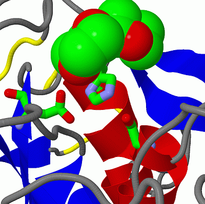 Image Asym./Biol. Unit - manually