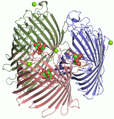 Image Asym./Biol. Unit - manually