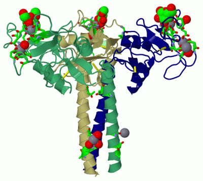 Image Asym./Biol. Unit - manually