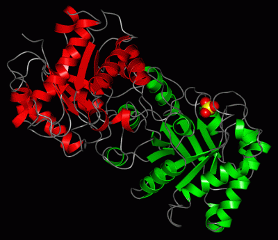 Image Asym./Biol. Unit - manually