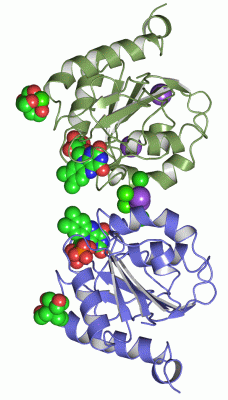 Image Asym./Biol. Unit - manually