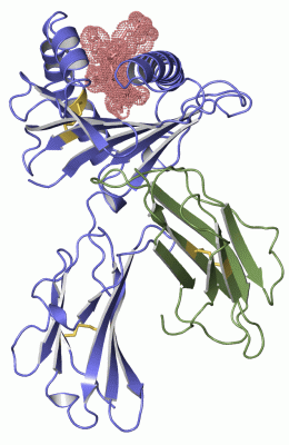 Image Asym./Biol. Unit - manually