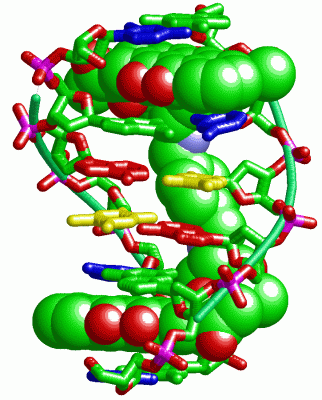 Image Biol.Unit 1 - manually