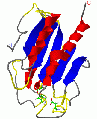 Image Asym./Biol. Unit - manually