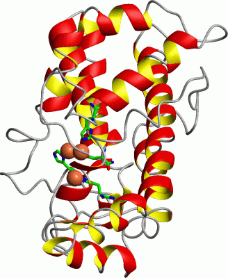 Image Asym./Biol. Unit - manually