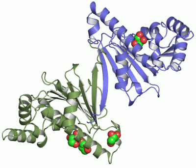 Image Asym./Biol. Unit - manually