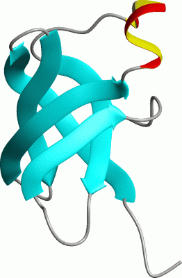 Image NMR Structure - manually