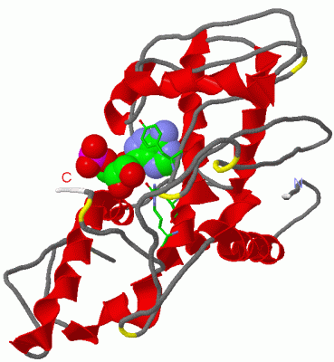 Image Asym./Biol. Unit - manually