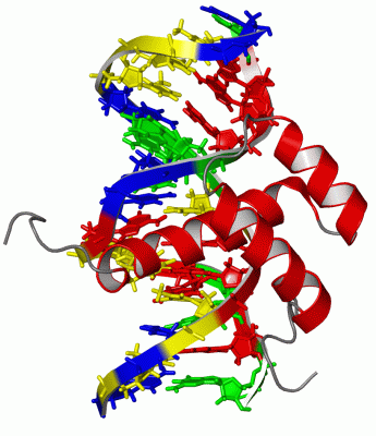 Image NMR Structure - manually