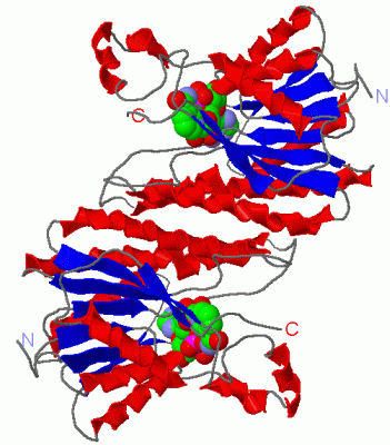 Image Asym.Unit - manually