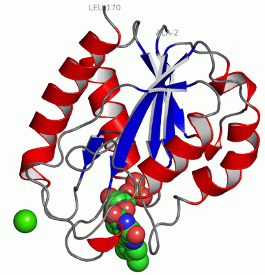 Image Asym./Biol. Unit - manually