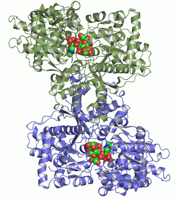 Image Asym./Biol. Unit - manually