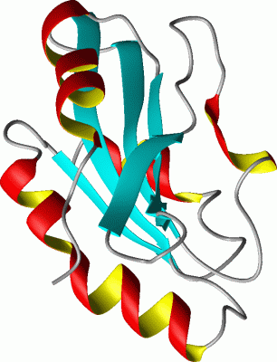 Image Asym./Biol. Unit - manually