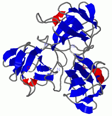 Image Asym./Biol. Unit - manually