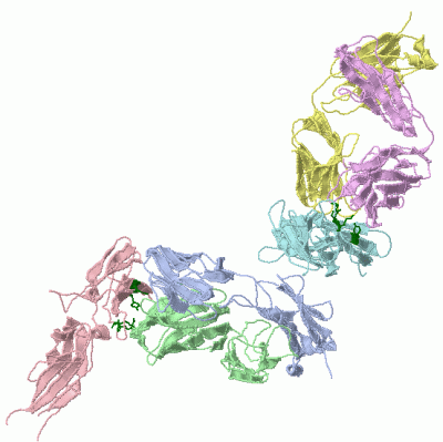 Image Asym./Biol. Unit - manually