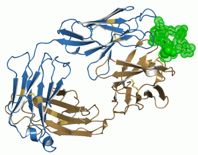 Image Asym./Biol. Unit - manually