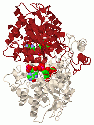 Image Biol.Unit 1 - manually