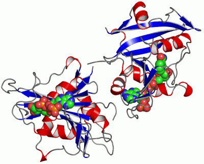 Image Asym./Biol. Unit - manually