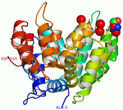 Image Asym./Biol. Unit - manually