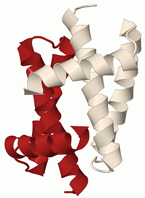 Image Biol.Unit 1 - manually