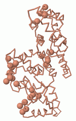 Image Asym./Biol. Unit - manually