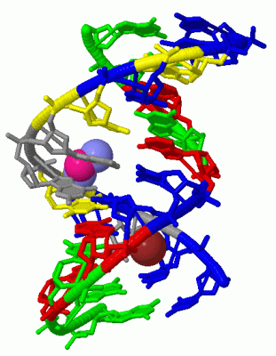 Image Biol.Unit 1 - manually