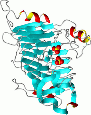 Image Asym./Biol. Unit - manually