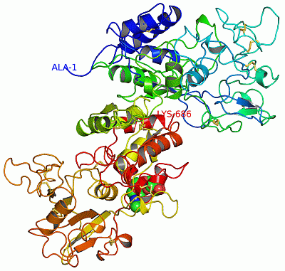 Image Asym./Biol. Unit - manually