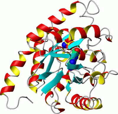 Image Asym./Biol. Unit - manually